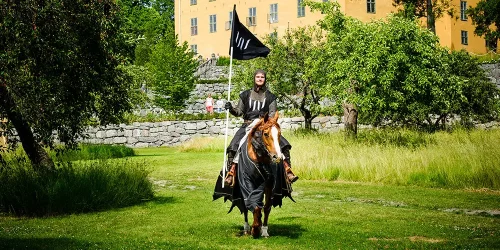 Riddare på häst v id Wenngarn